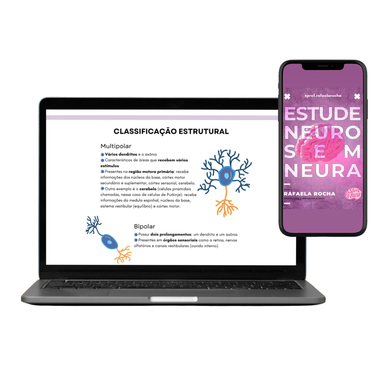 E-book Estude Neuro Sem Neura