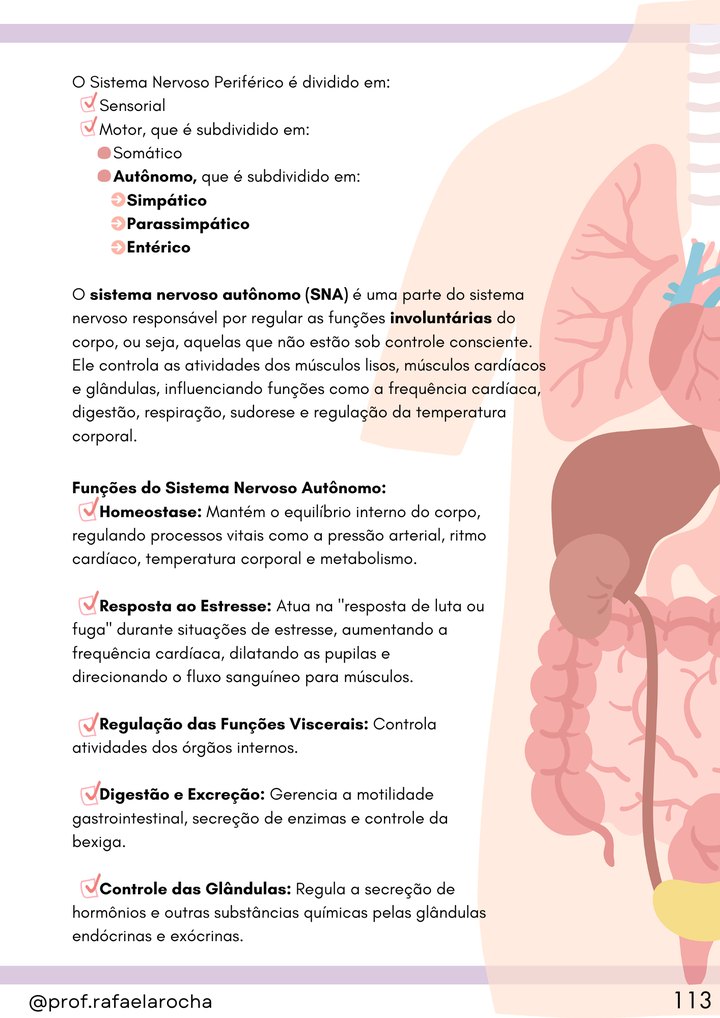 Página do e-book